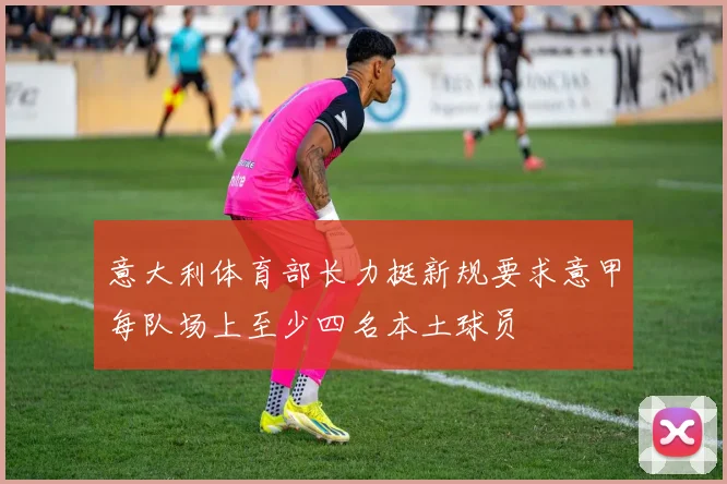 意大利体育部长力挺新规要求意甲每队场上至少四名本土球员